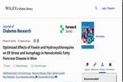 Optimized Effects of Fisetin and Hydroxychloroquine on ER Stress and Autophagy in Nonalcoholic Fatty Pancreas Disease in Mice